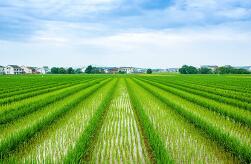 ����������΢�̾��ؿ������ں���·��