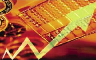 ���������й�˾��300��